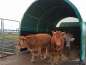 Preview: tent moss green pasture tent round arch tent storage tent
