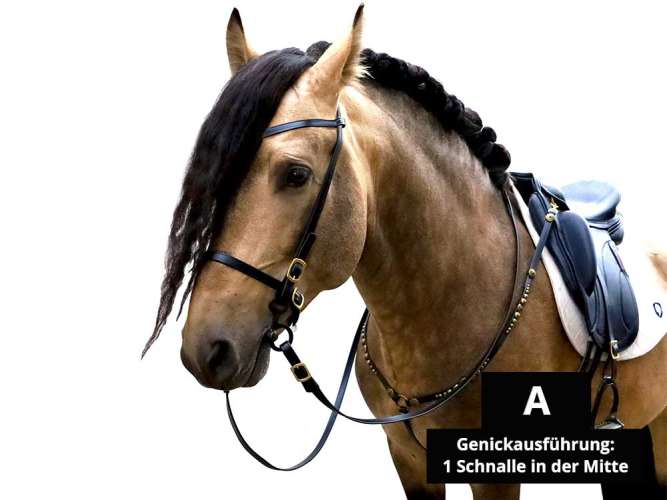 Bridle BioThane black brass