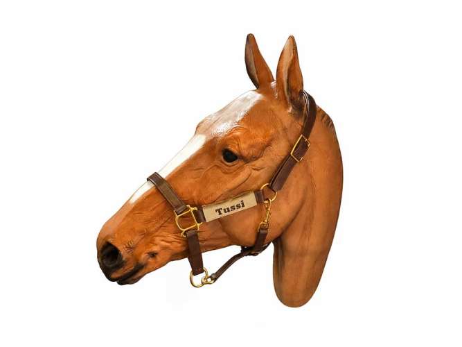 besticktes Halfterpad