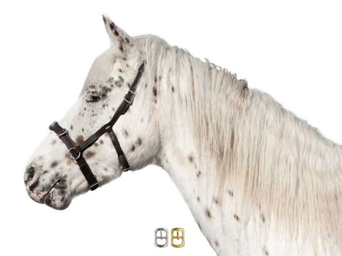 Kappzaum PAP Appaloosa Edition braun