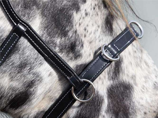 Cavesson PAP Appaloosa Edition black