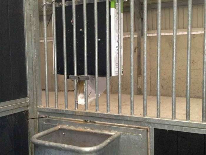 Futterautomat, Stall, Weide, Weidezelt, Trockenfutter